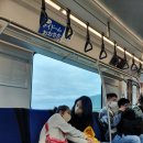 모노라마 | 오다이바 일본 과학 미래관 후기-아쿠아시티,다이버시티,후지TV 근처 Feat.아이와 도쿄여행