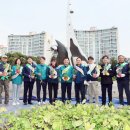 진해구 ⓒ-28 이미지