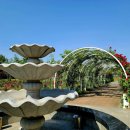 금강행정사 사무소 이미지