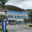 출렁다리 이팝나무길 이미지