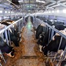 삼광축산 이미지