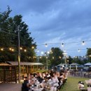 호암가든 | [서울대 호암교수회관 야외 가든 카페 후기] 서울에서 즐기는 초록 피크닉, 단 2개월만 열리는 숨은 명소