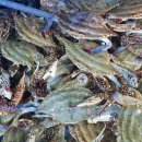 쎄일마트 이미지