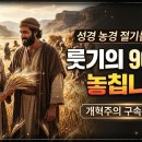 룻기와 이스라엘의 세 절기 : ​룻기는 단순한 로맨스가 아닙니다, 3대 절기 속에 숨겨진 충격적인 메시아 구속사 이미지