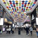 트리플 스트리트 연합뉴스