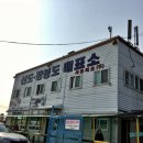 뉴해송펜션 | 백패킹 성지 장봉도 서해로 떠나는 섬캠핑 차박 후기