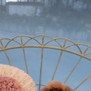 뽀송 애견미용 이미지