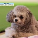 오션동물메디컬센터 이미지