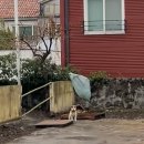 조차 스테이 이미지