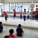 키즈중앙태권도장 이미지