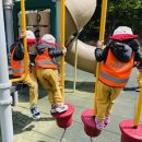 환호해맞이공원 이미지