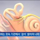 배성천 이미지