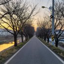 충주천제방길 이미지