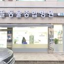 필동물종합병원 이미지