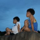 복음농장 이미지