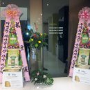 구트병원 Daum카페