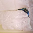 송림세탁 이미지