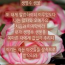 샘물한의원 네이버블로그