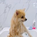 멍스클럽 이미지