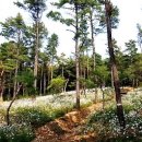 율곡수목원(2) 이미지