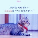 🌐10번째 6번째 선진 국가는 야생 유해동물 길'고양이 묻지마식 사료투기 경범죄 처벌법을 도입하는 자연환경 보호국가~ 이미지
