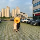 군산장어 이미지