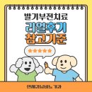 송암빌딩 | 발기부전치료 후기 제대로 보려면 이 3가지를 꼭 확인하세요.