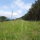 한상준농장 이미지