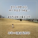 서울올림픽기념관 | 16개월 아기랑 올림픽공원 나홀로 나무｜걷기 시작한 아기 나들이 성지 (지름길 꿀팁까지)