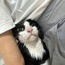 이츠펫 살롱 이미지