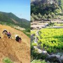 산골 이미지
