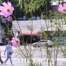 [오늘의 날씨] 중부 대체로 맑고 남부·제주는 비…최대 60㎜ 이미지