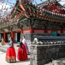 제주와봄 이미지