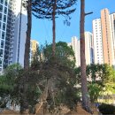 클래스원부동산중개사무소 이미지