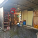 안개티천 이미지