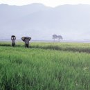 산넘어남촌엔 이미지