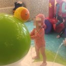 덕산파크 | 스플라스리솜 온천 예산 덕산 겨울 워터파크 후기 리솜포레스트비교