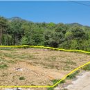 대복민박 이미지