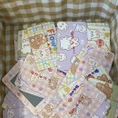 소르베 펫살롱 이미지