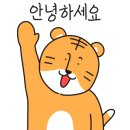 오룡한국태권도장 이미지