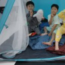 블랙벨트 체육관 이미지