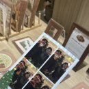 파인데이즈