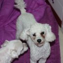 동삼3동-2 이미지