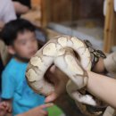 재리쥬 작은동물원 이미지