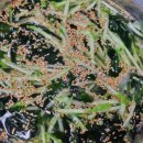 옛날기사식당 - 태백시 | 옛날기사식당