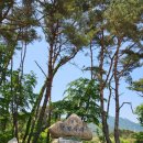 가산면사무소 화장실 | 대구 칠곡 캠핑장:) 한티별빛아래오토캠핑장 후기