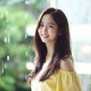 쏘 이미지