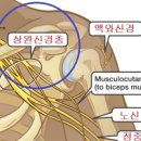 대치서울정형외과의원 이미지