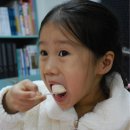 새현대유치원 이미지