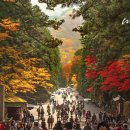 광천부화장 이미지